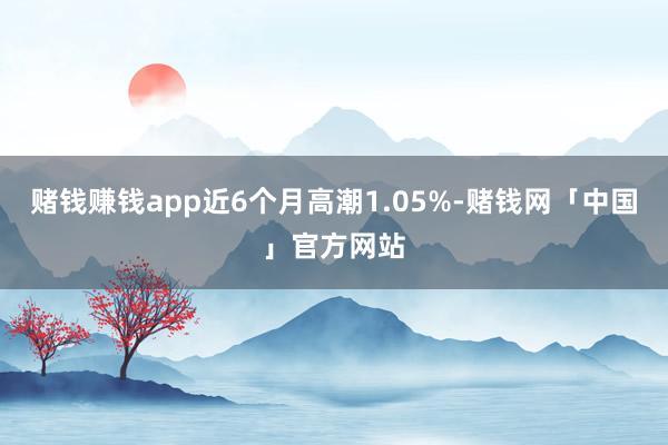赌钱赚钱app近6个月高潮1.05%-赌钱网「中国」官方网站