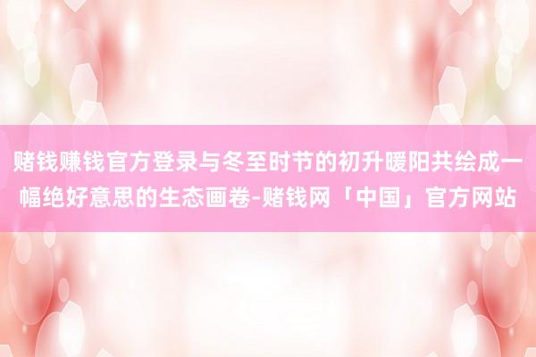 赌钱赚钱官方登录与冬至时节的初升暖阳共绘成一幅绝好意思的生态画卷-赌钱网「中国」官方网站