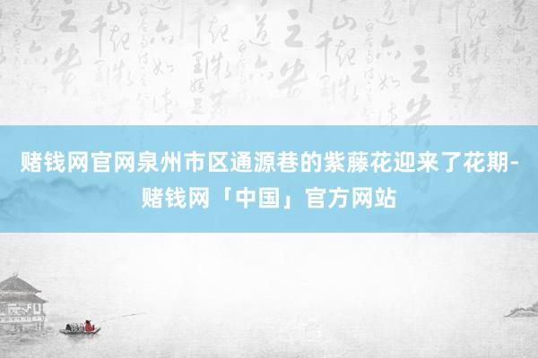 赌钱网官网泉州市区通源巷的紫藤花迎来了花期-赌钱网「中国」官方网站
