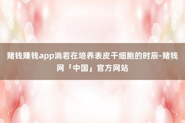 赌钱赚钱app淌若在培养表皮干细胞的时辰-赌钱网「中国」官方网站