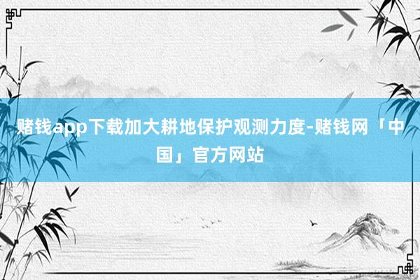 赌钱app下载加大耕地保护观测力度-赌钱网「中国」官方网站