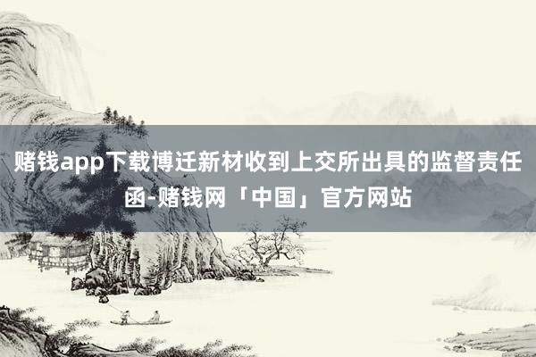 赌钱app下载博迁新材收到上交所出具的监督责任函-赌钱网「中国」官方网站