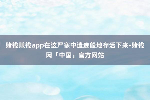 赌钱赚钱app在这严寒中遗迹般地存活下来-赌钱网「中国」官方网站