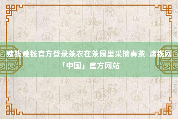 赌钱赚钱官方登录茶农在茶园里采摘春茶-赌钱网「中国」官方网站