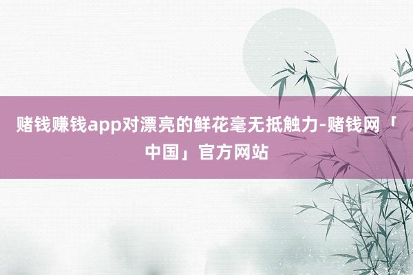 赌钱赚钱app对漂亮的鲜花毫无抵触力-赌钱网「中国」官方网站