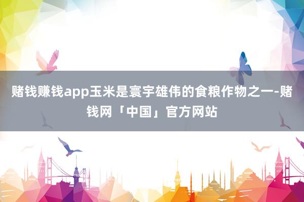 赌钱赚钱app玉米是寰宇雄伟的食粮作物之一-赌钱网「中国」官方网站
