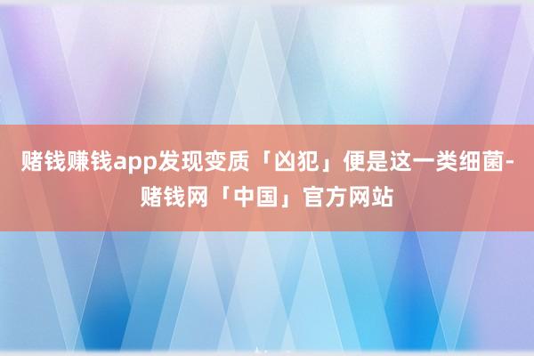 赌钱赚钱app发现变质「凶犯」便是这一类细菌-赌钱网「中国」官方网站